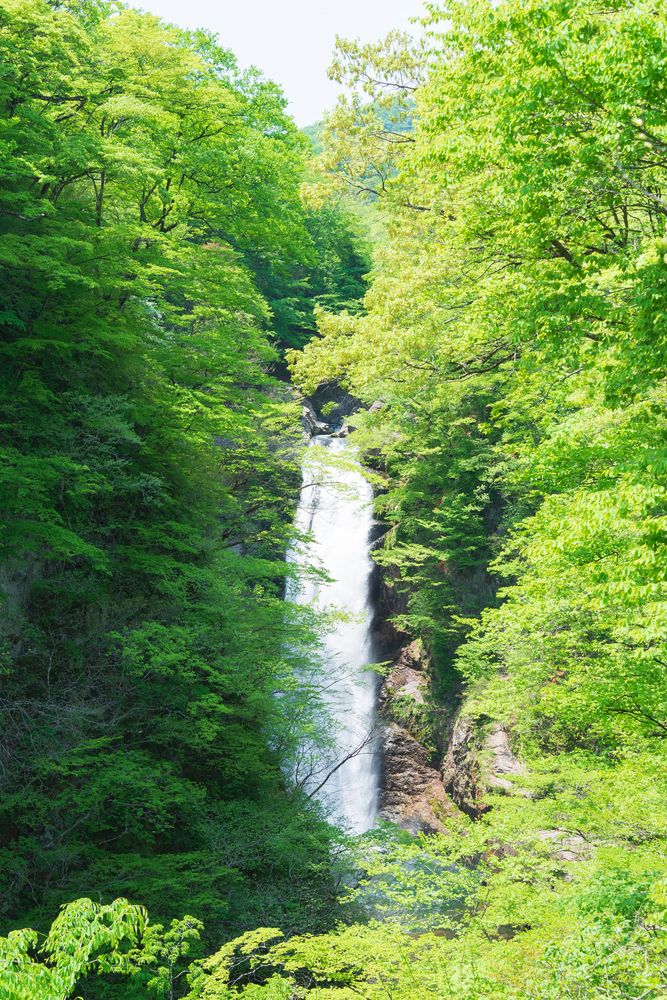 秋保大滝の画像 - 4枚目