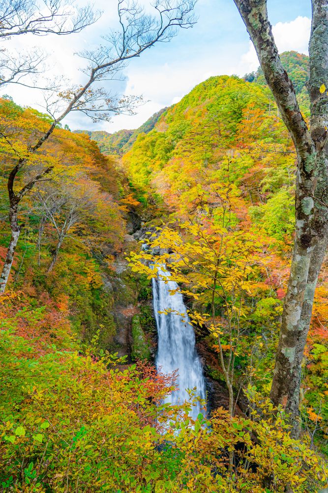秋保大滝の画像 - 5枚目