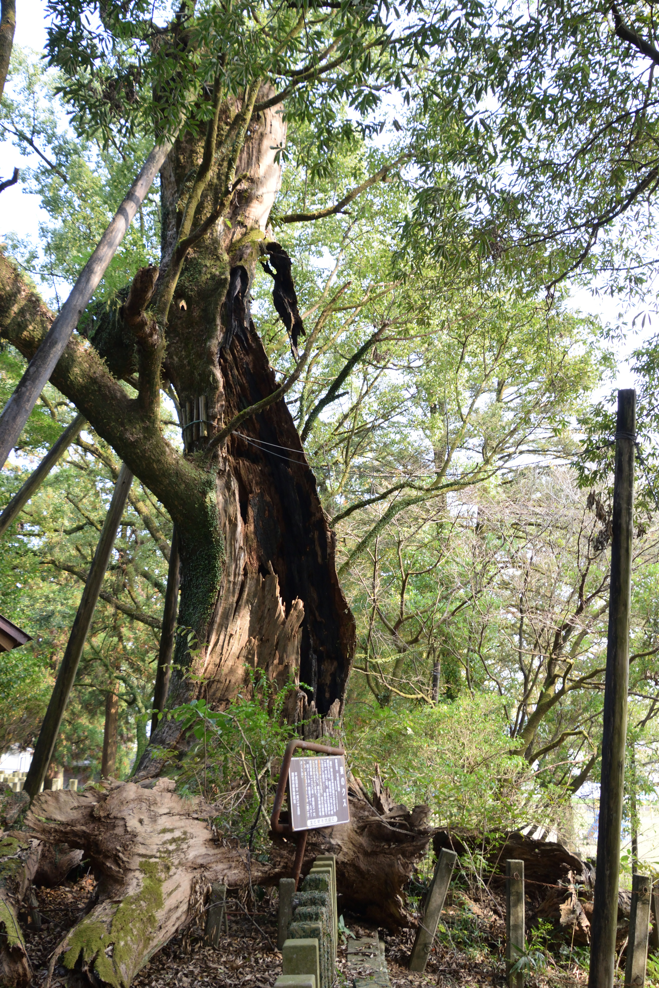 都萬神社の画像 - 2枚目