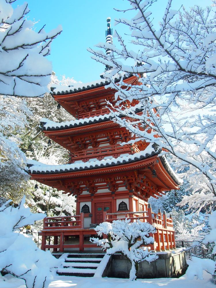 三室戸寺の画像 - 2枚目