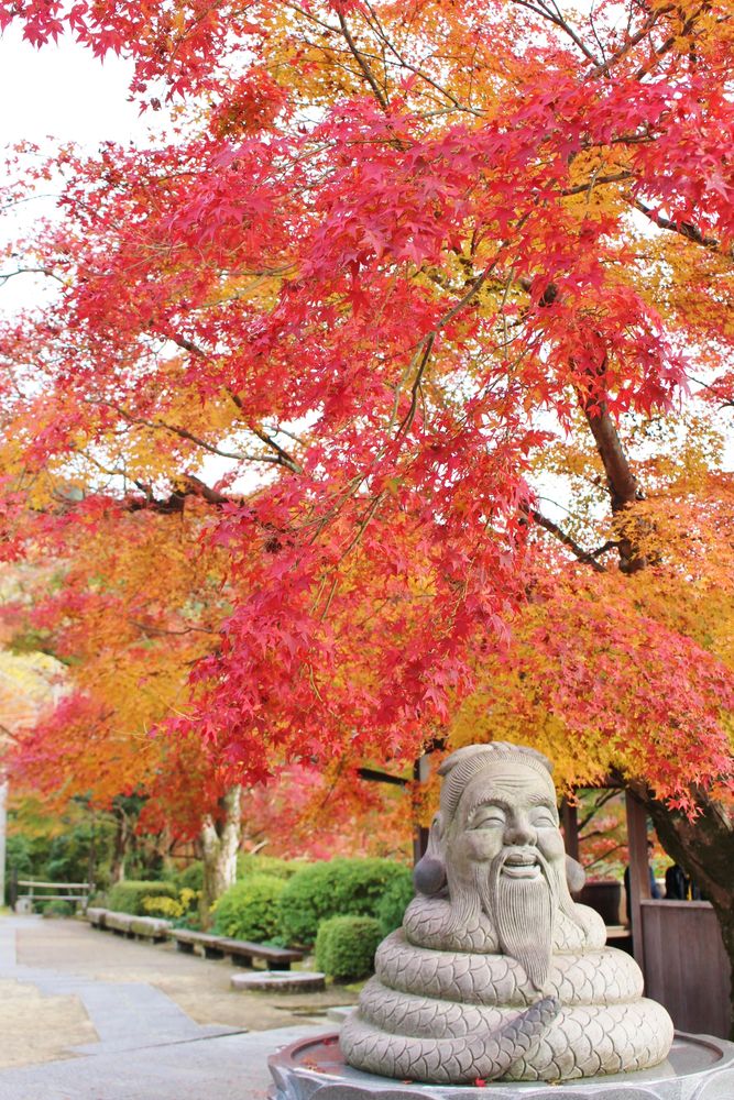 三室戸寺の画像 - 4枚目