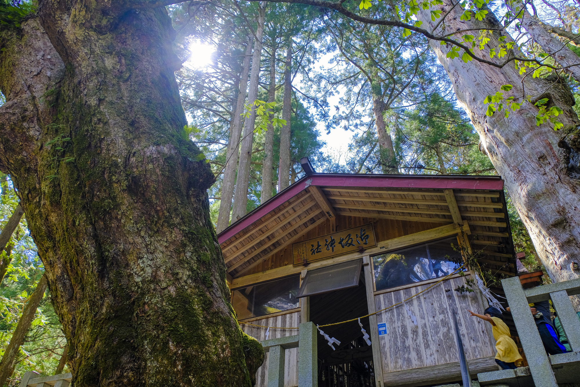 神坂神社