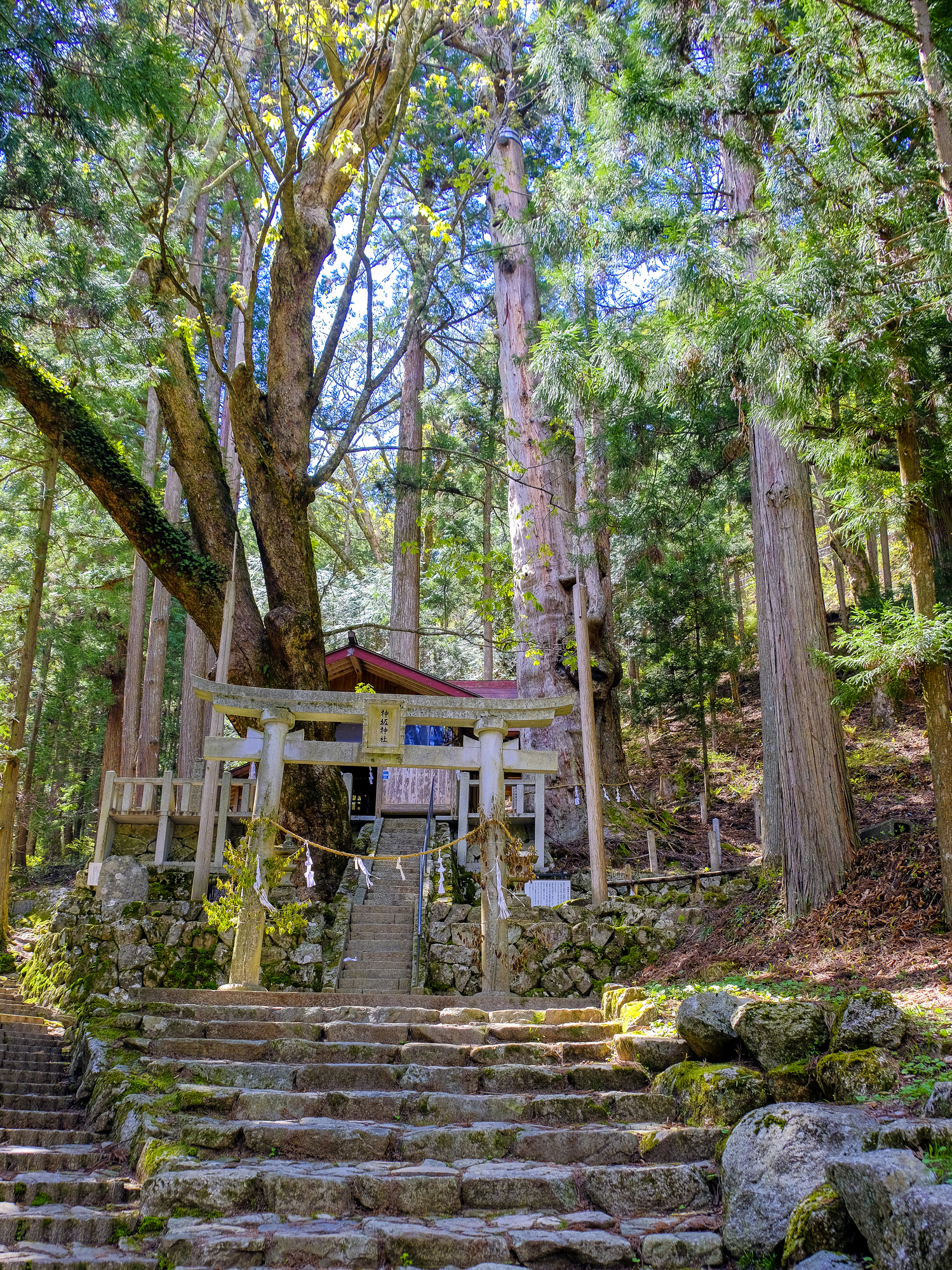 神坂神社の画像 - 2枚目