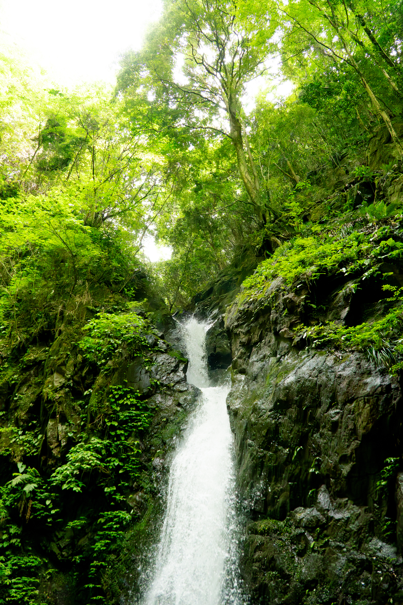 塩川滝の画像 - 4枚目
