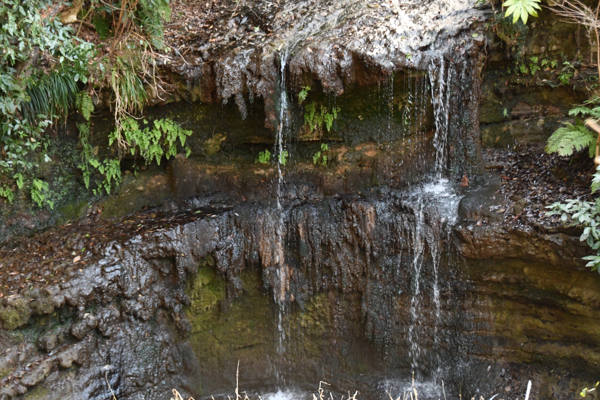 陰陽の滝の画像 - 3枚目