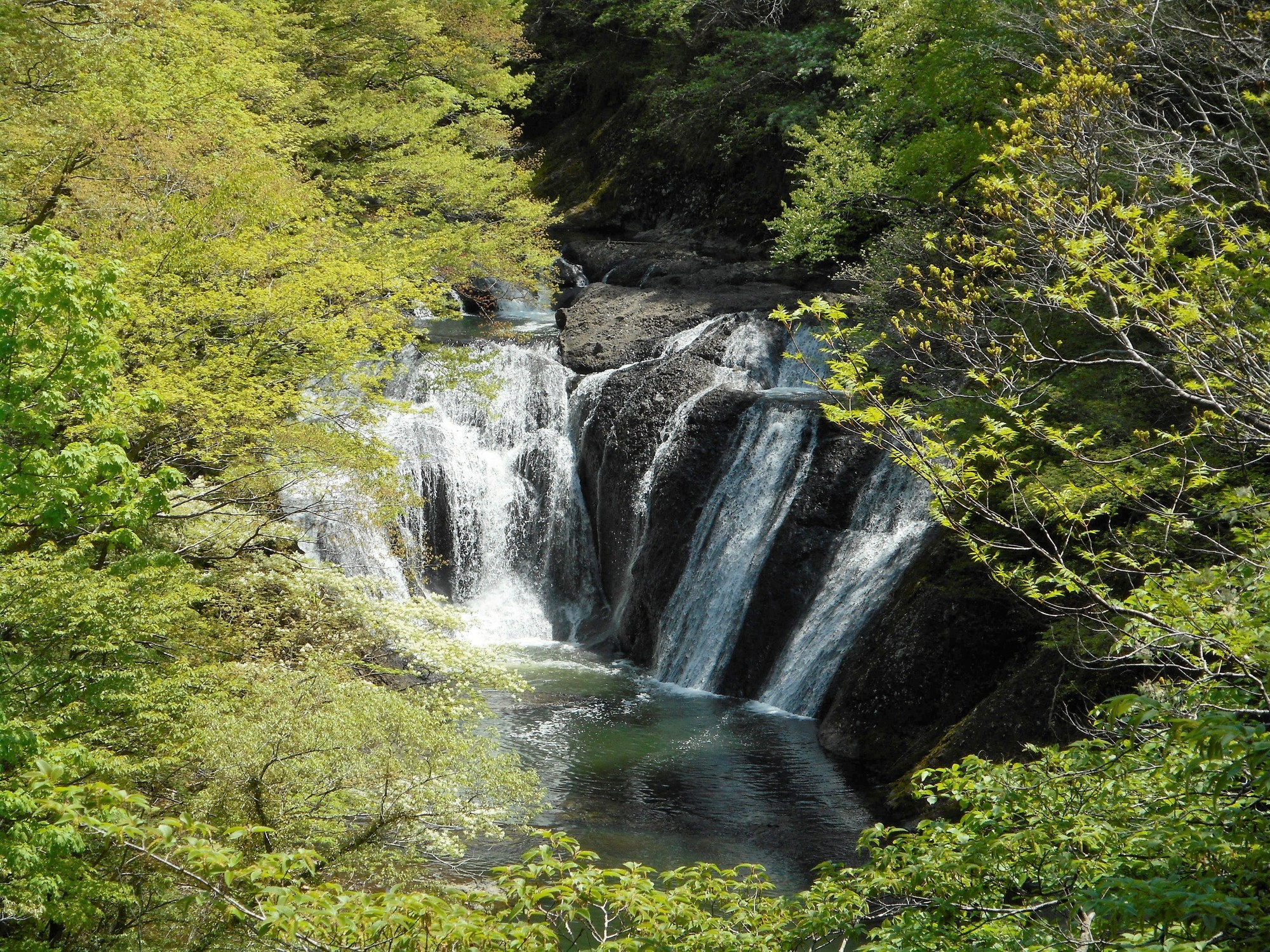 生瀬滝(生瀬の滝)の画像 - 3枚目