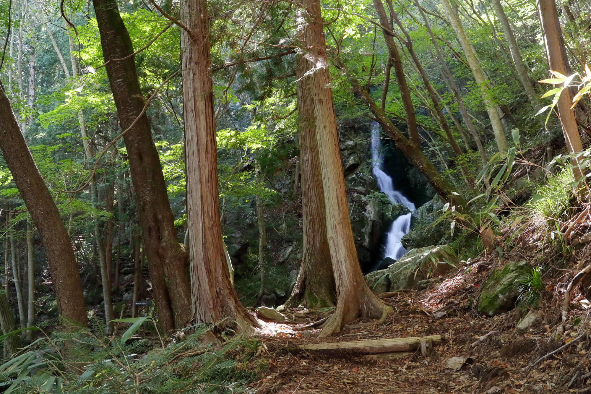 七ツ滝