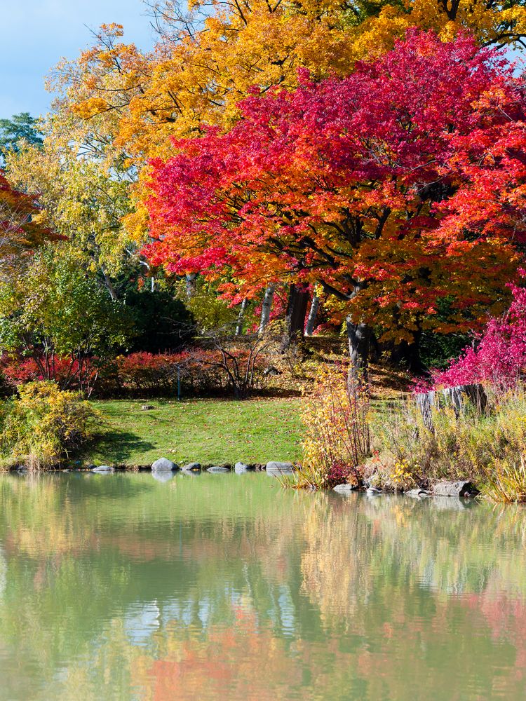 中島公園の画像 - 3枚目