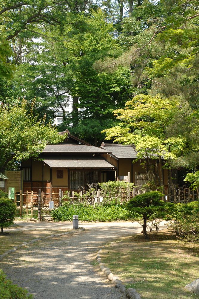 中島公園の画像 - 5枚目