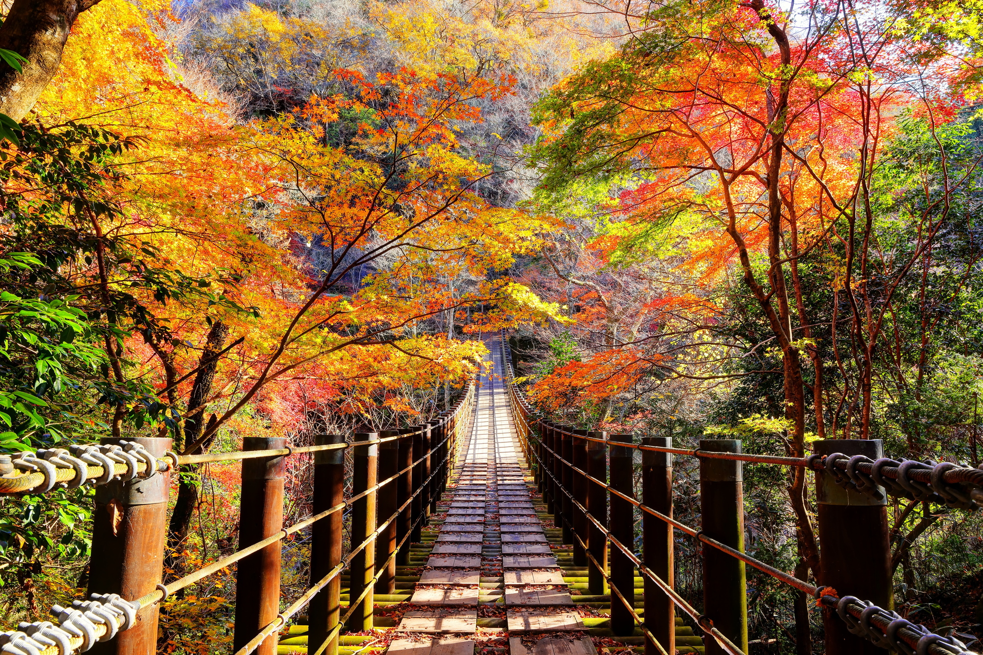 花貫渓谷 汐見滝の画像 - 2枚目