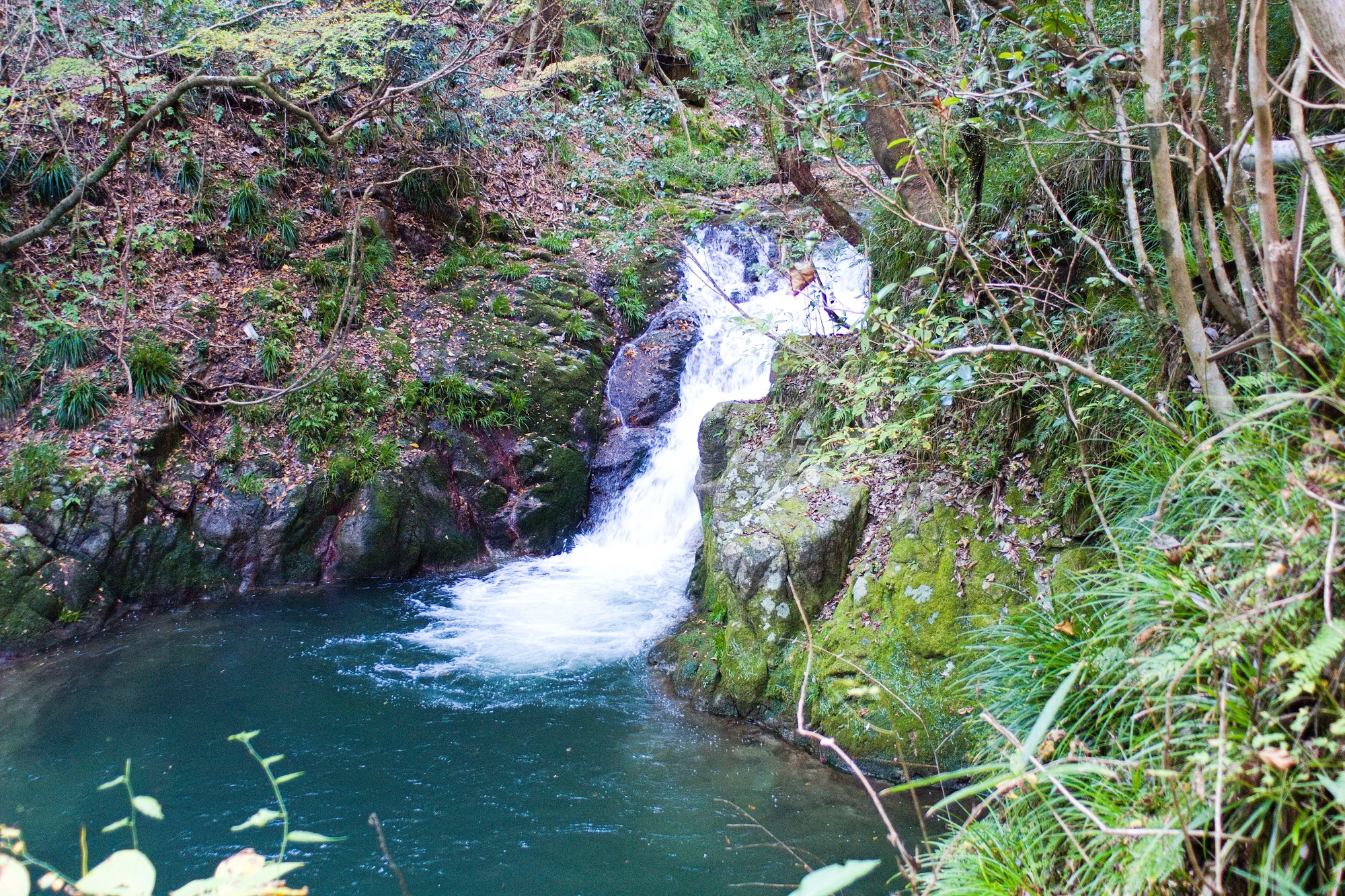 花貫渓谷 不動滝の画像 - 3枚目