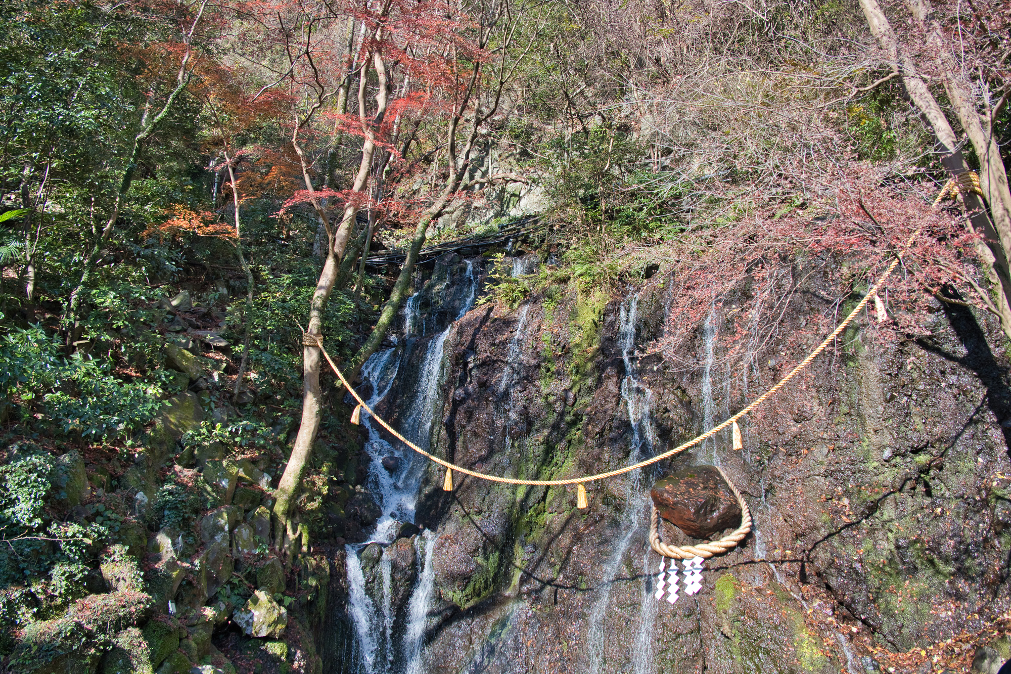 玉簾の瀧の画像 - 2枚目