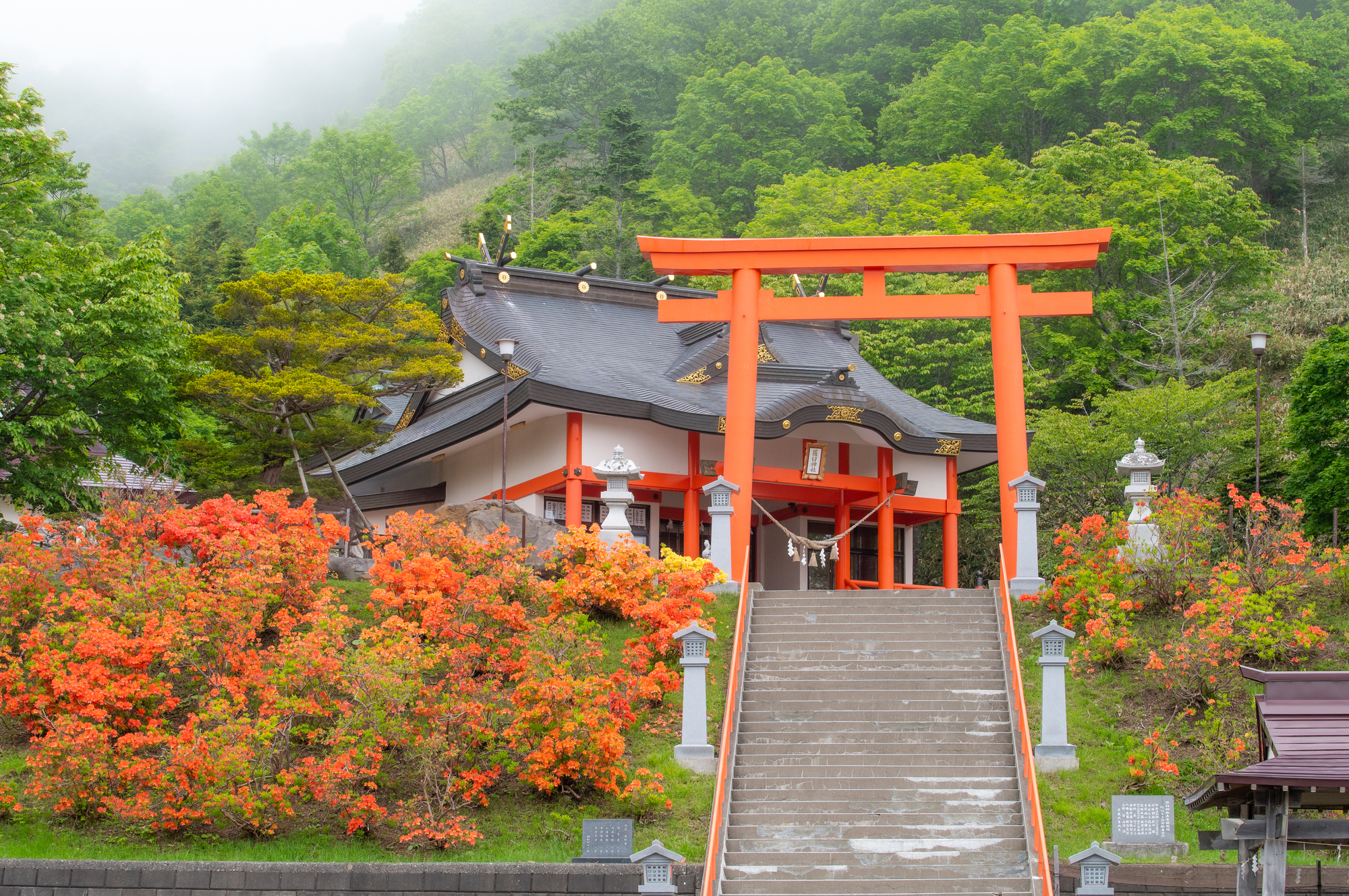 羅臼神社の画像 - 2枚目