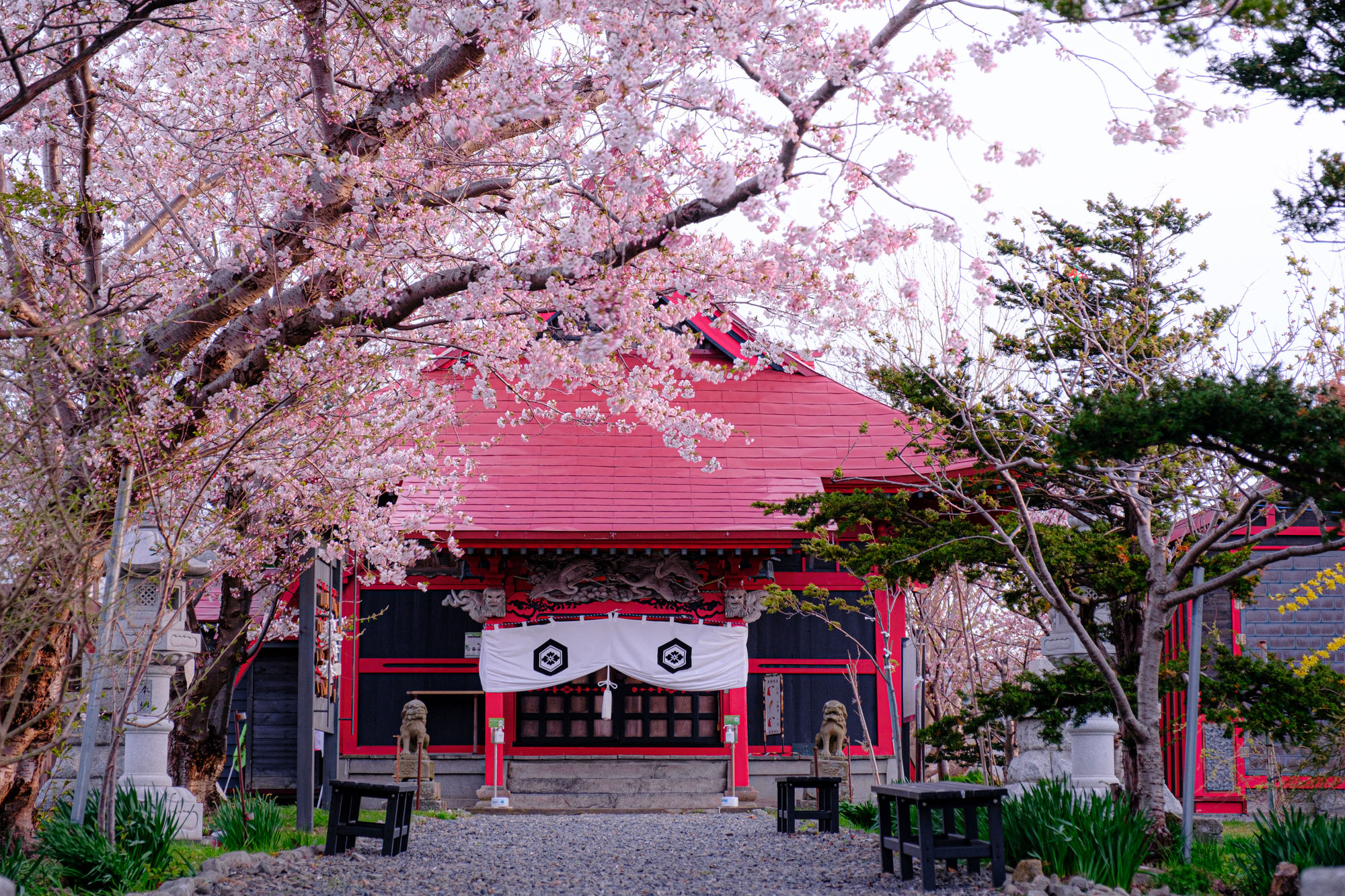 厳島神社（北海道増毛町）
