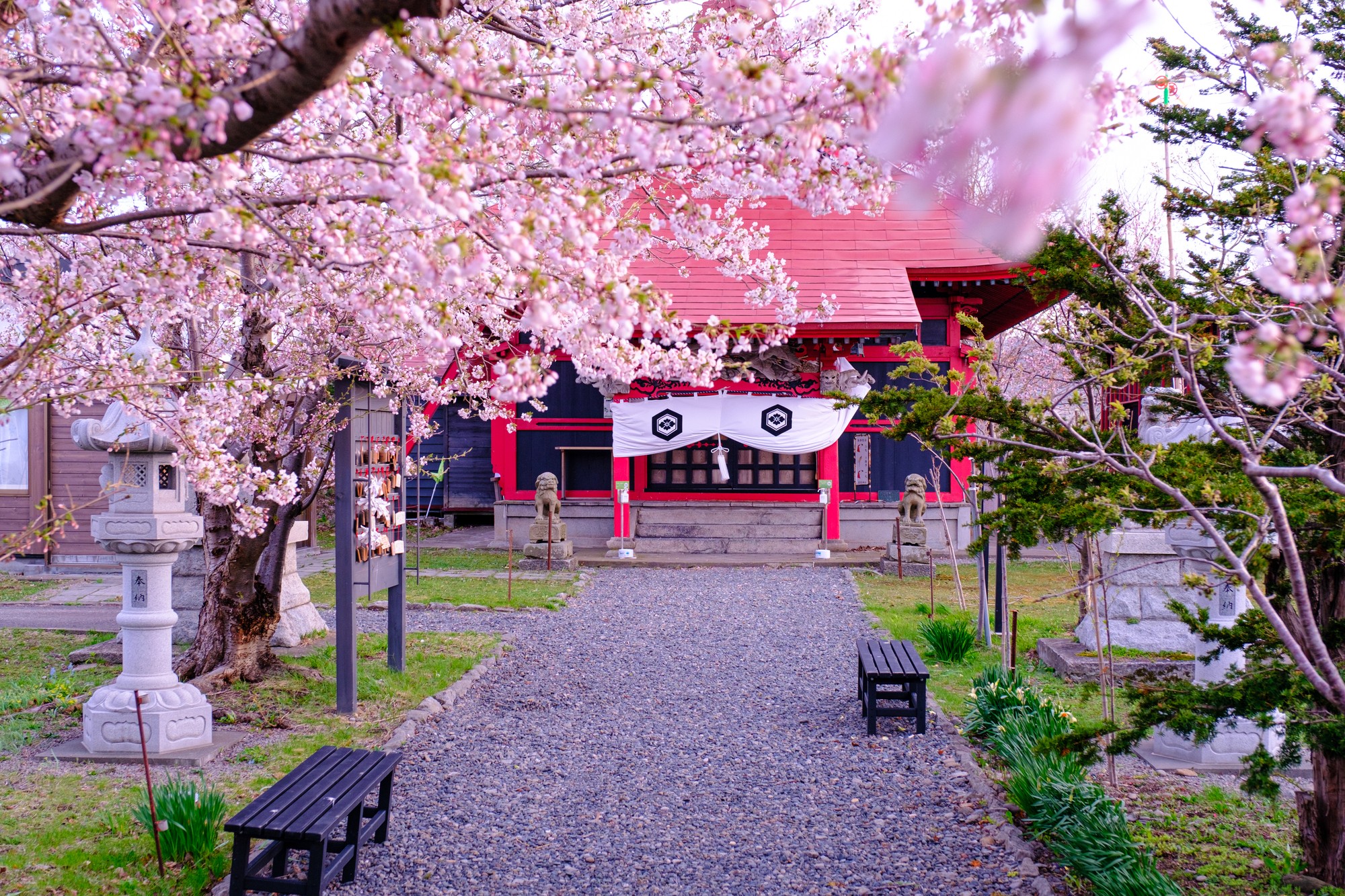 厳島神社（北海道増毛町）の画像 - 2枚目