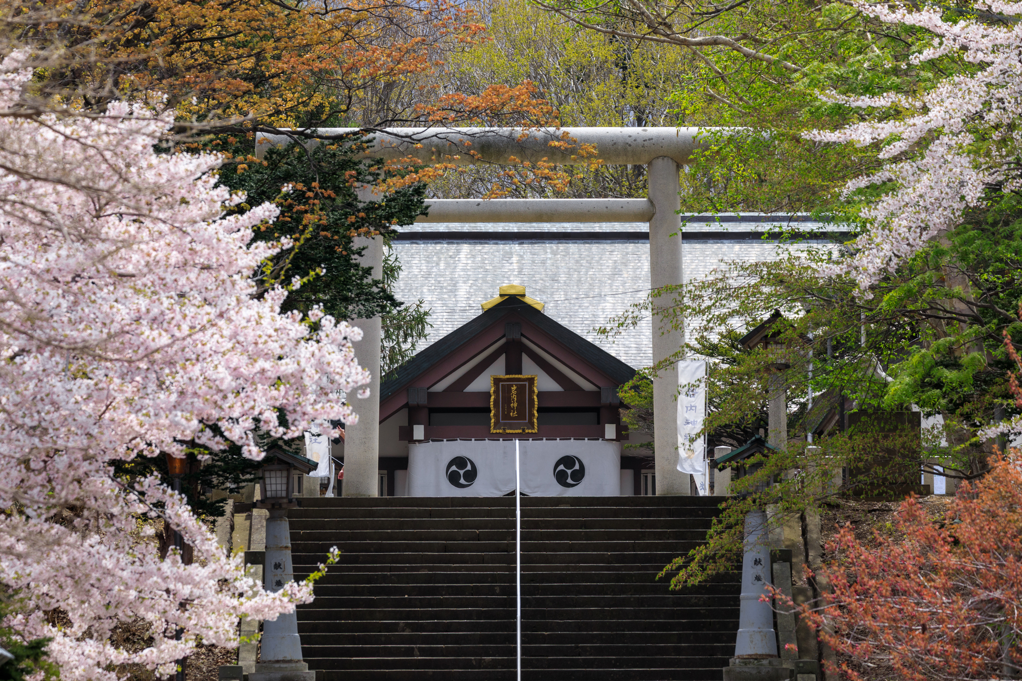 岩内神社の画像 - 2枚目