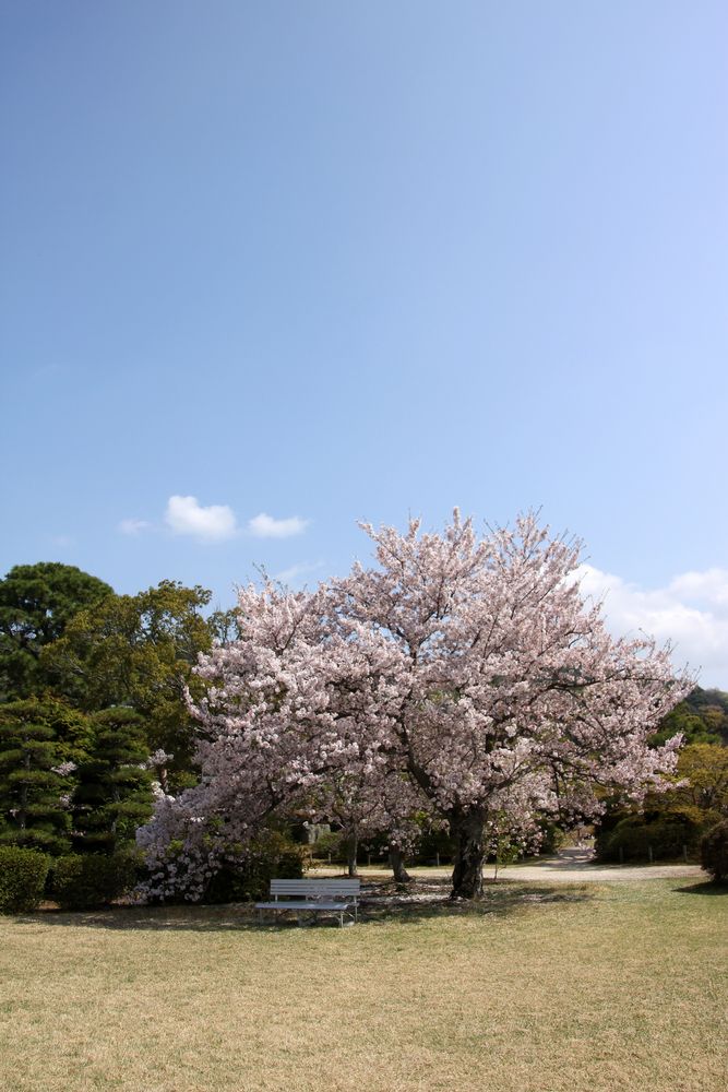 毛利氏庭園の画像 - 4枚目