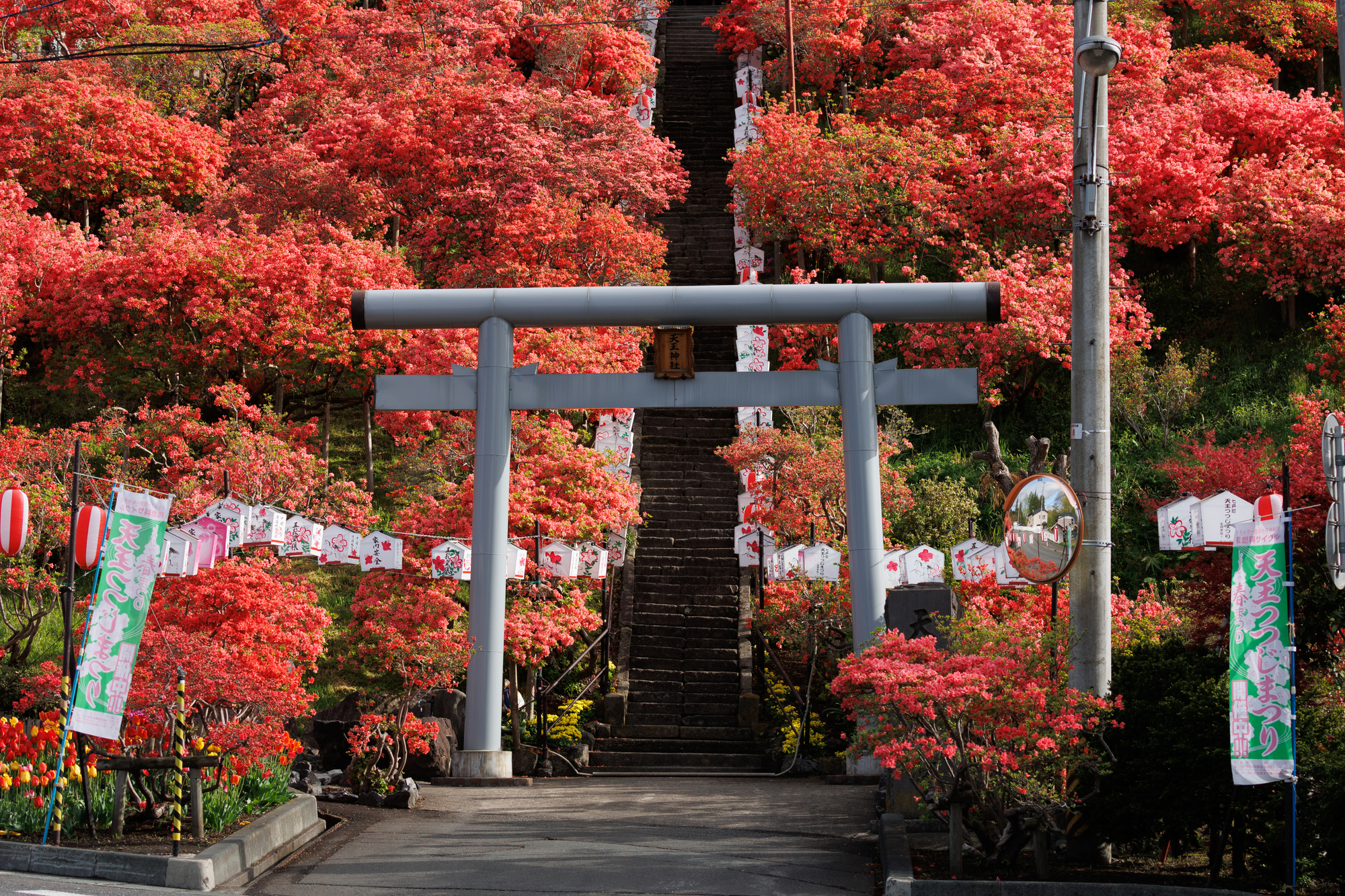 天王神社の画像 - 2枚目