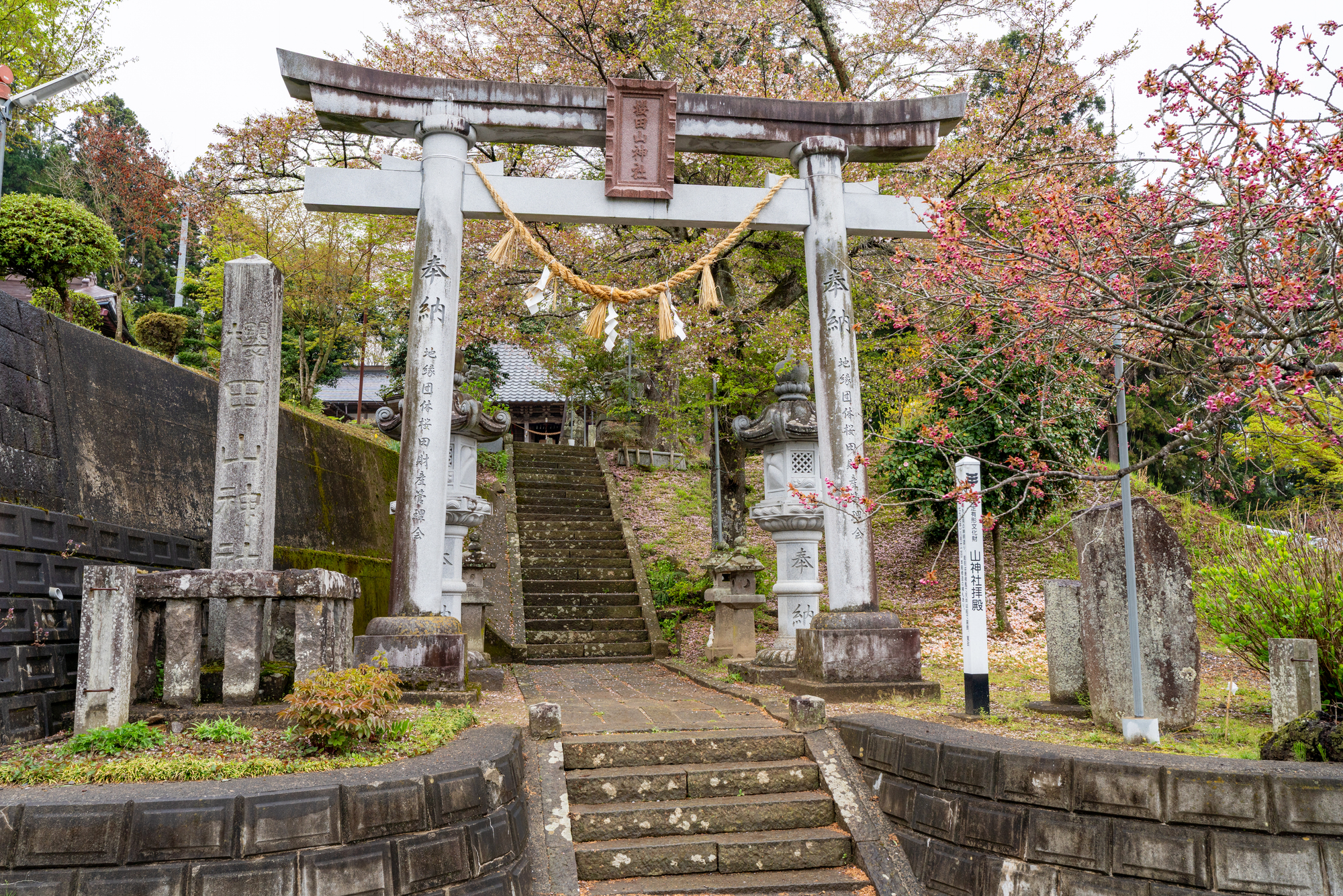 櫻田山神社の画像 - 2枚目