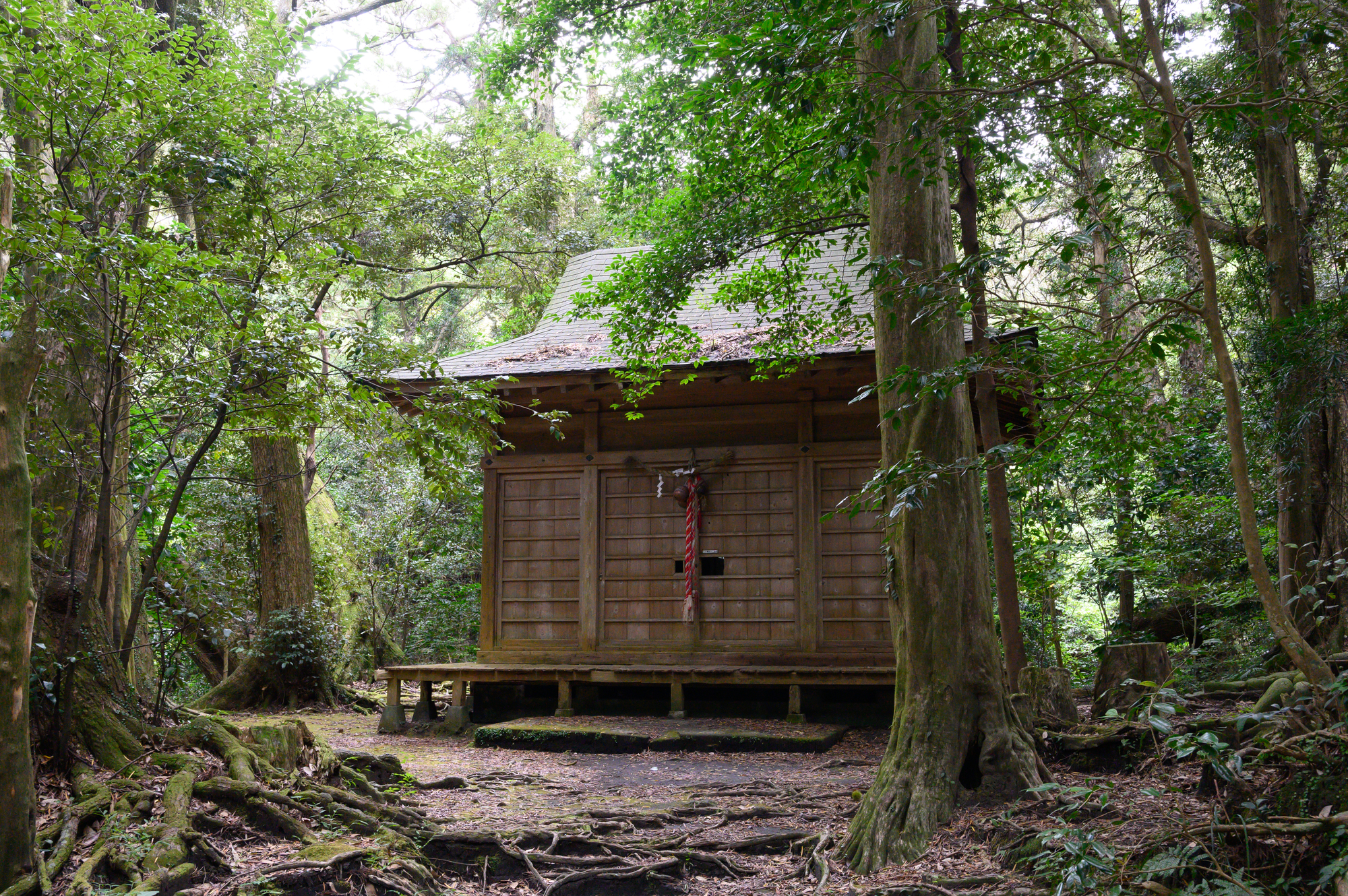 波治加麻神社の画像 - 2枚目