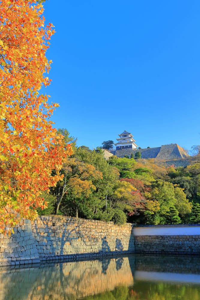 丸亀城の画像 - 3枚目