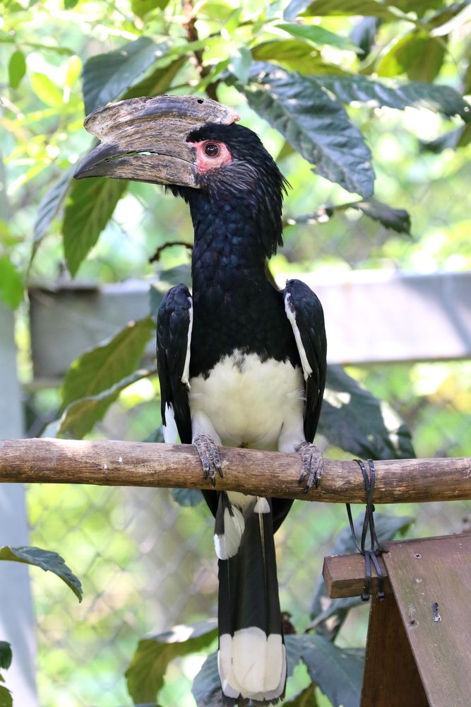 埼玉県こども動物自然公園の画像 - 2枚目