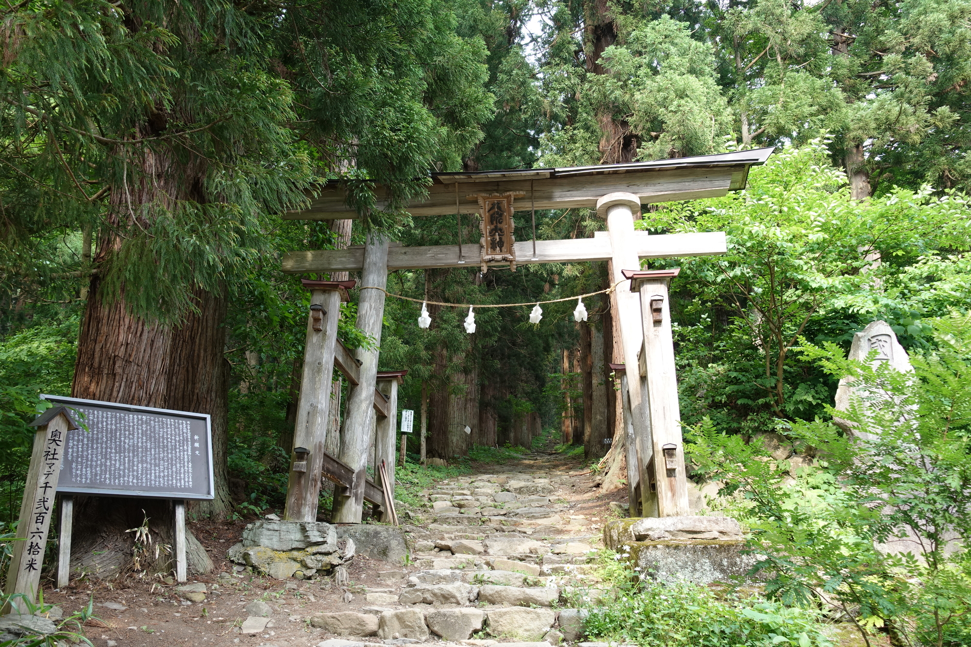 小菅神社の画像 - 2枚目