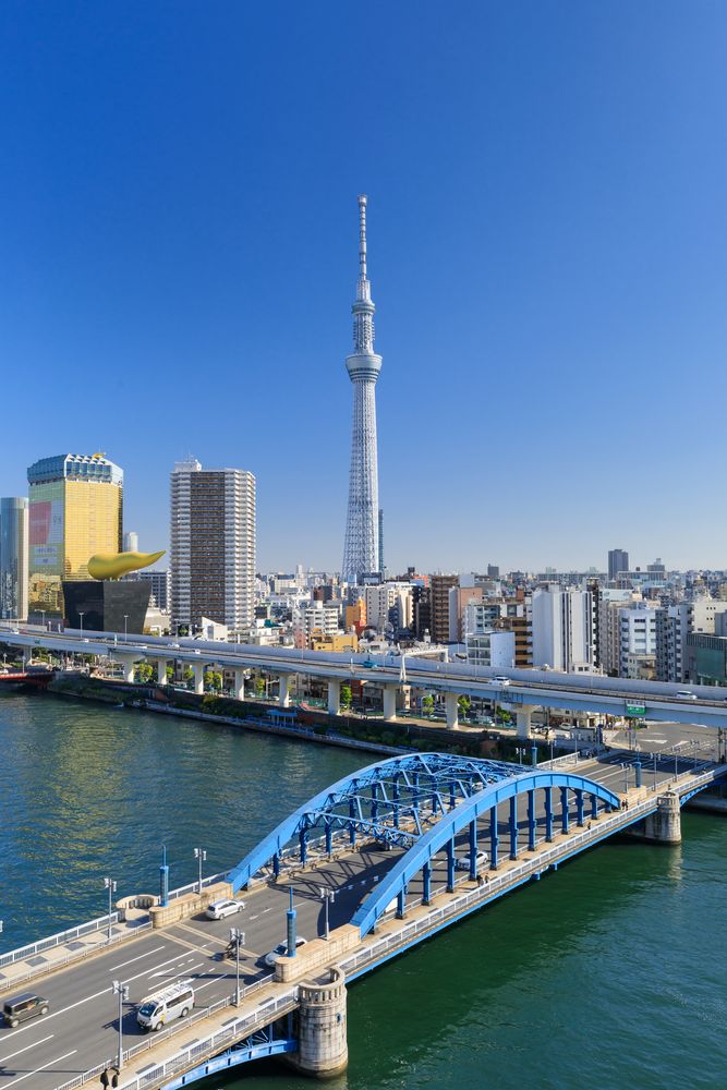 隅田川の画像 - 3枚目