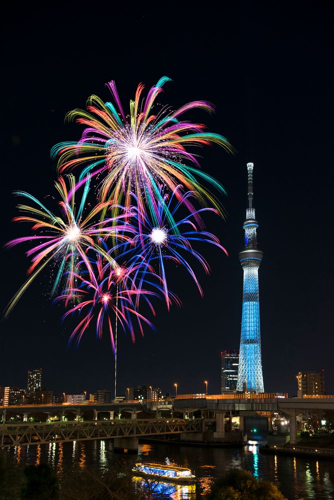 隅田川の画像 - 4枚目