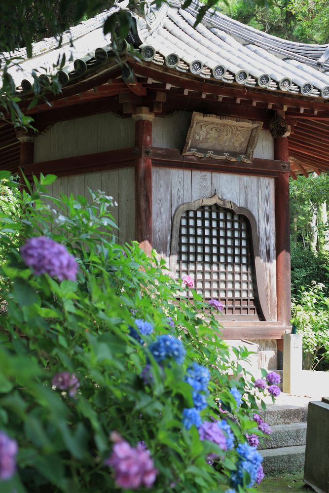 矢田寺の画像 - 4枚目