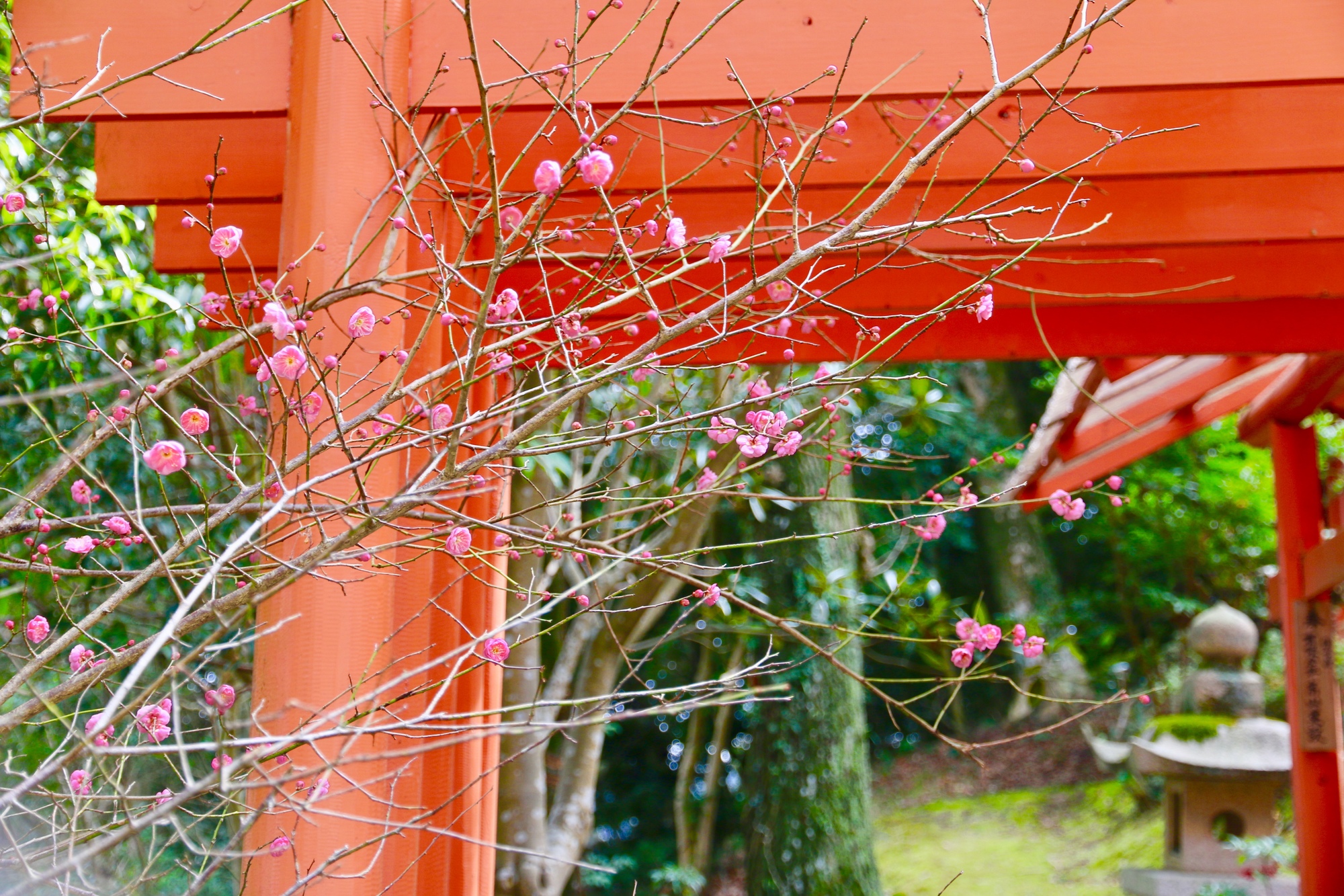 高津柿本神社