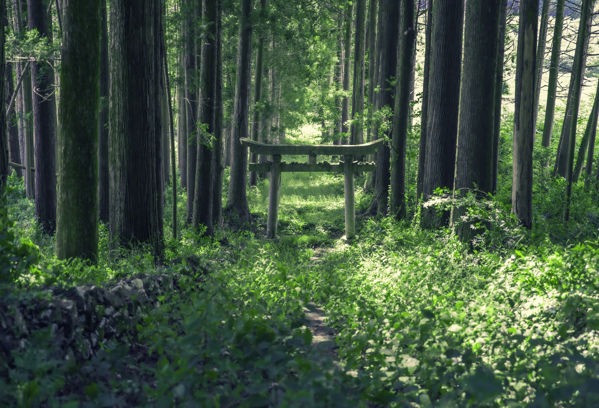 荒戸神社