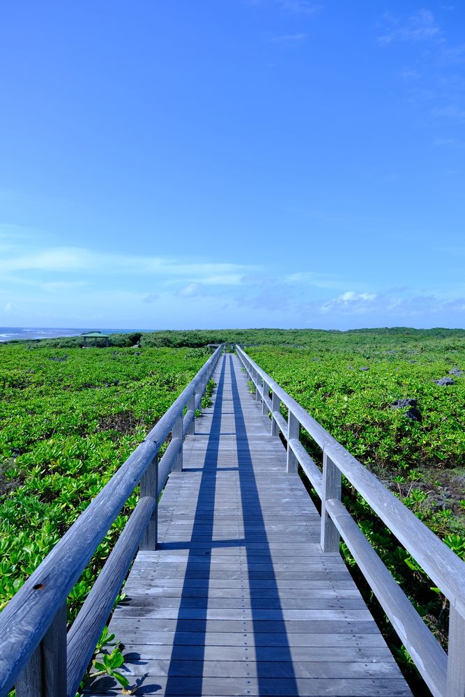 下地島の画像 - 4枚目
