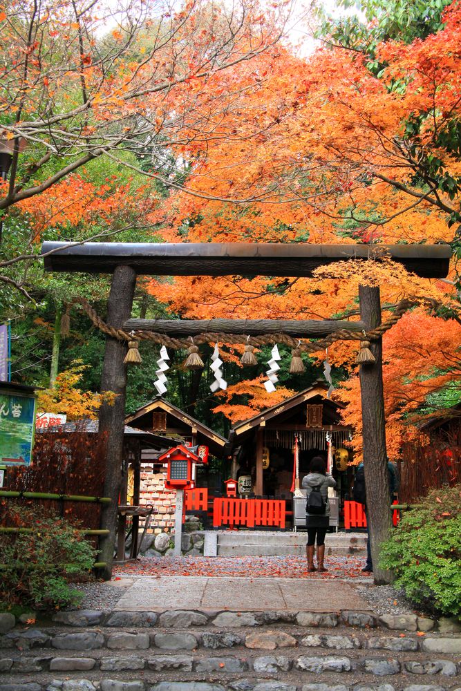 野宮神社の画像 - 2枚目