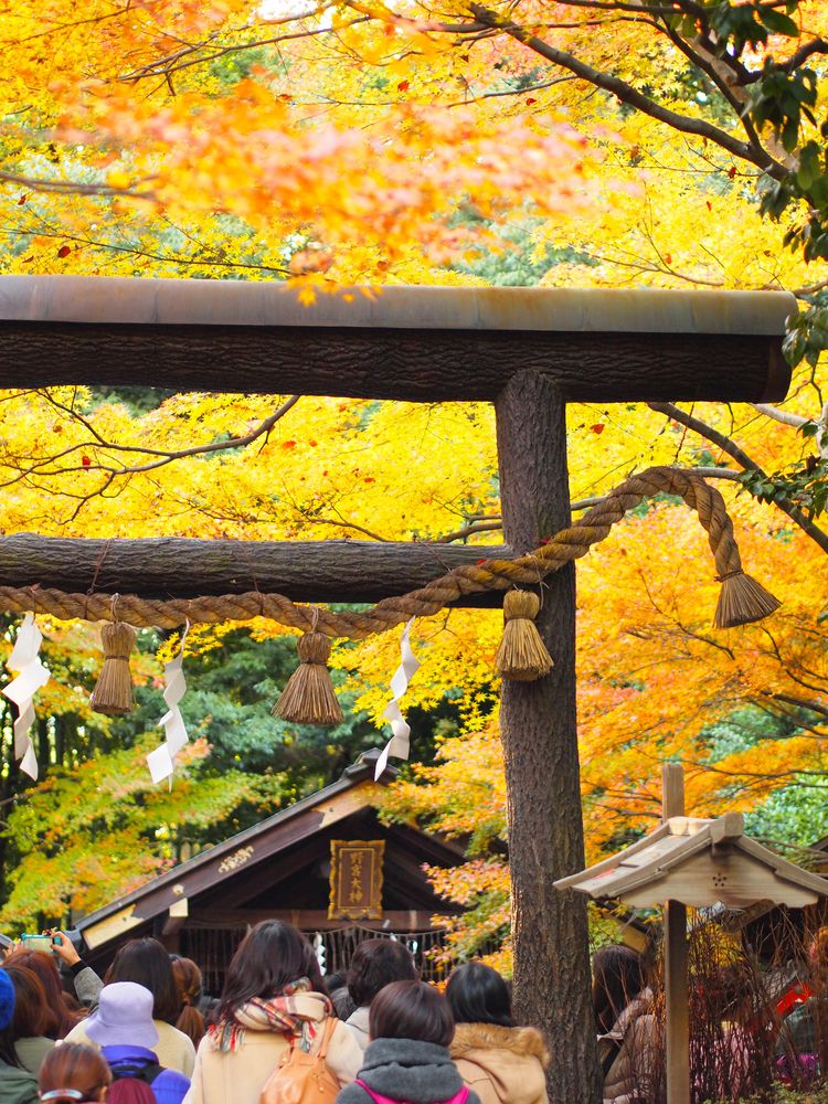 野宮神社の画像 - 3枚目