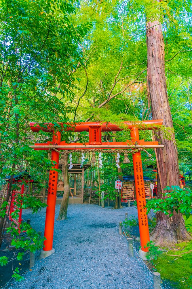 野宮神社の画像 - 4枚目