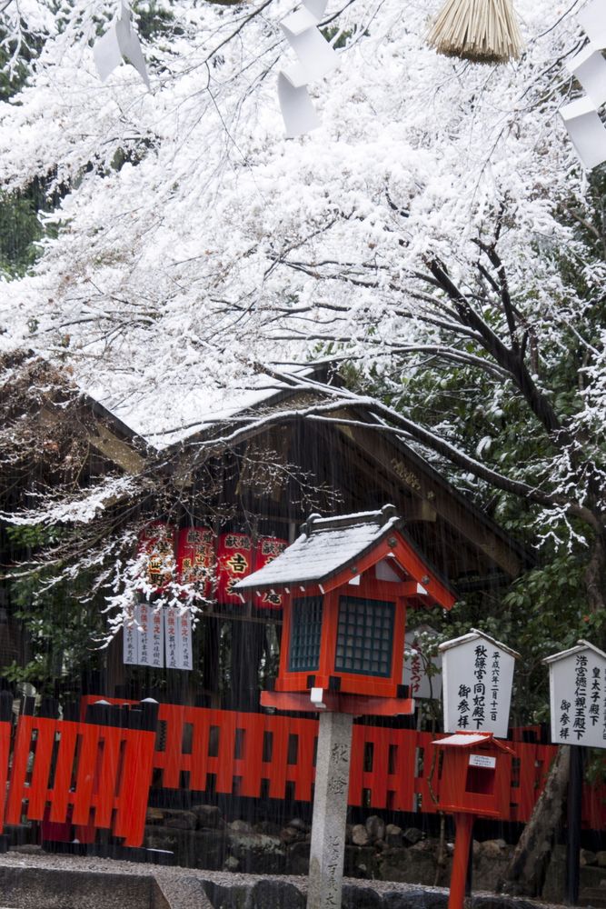 野宮神社の画像 - 5枚目