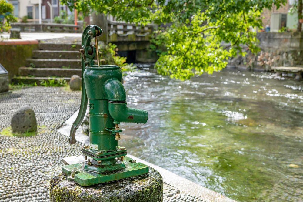 源兵衛川親水公園の画像 - 4枚目