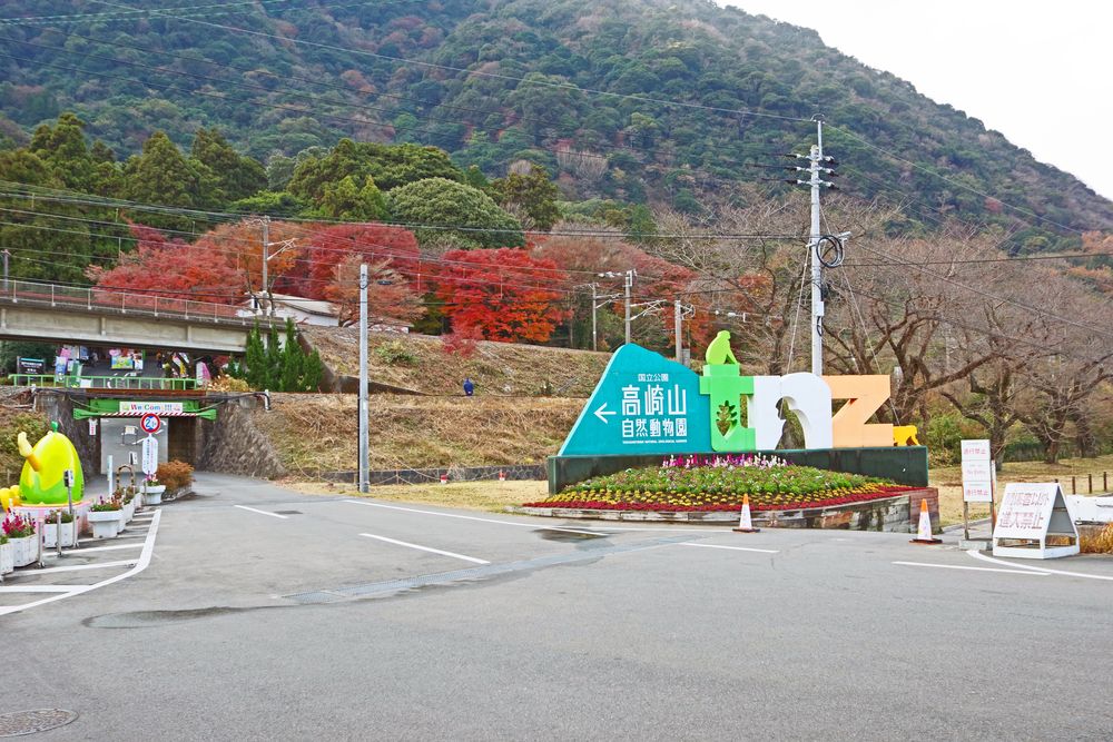 高崎山自然動物園の画像 - 3枚目