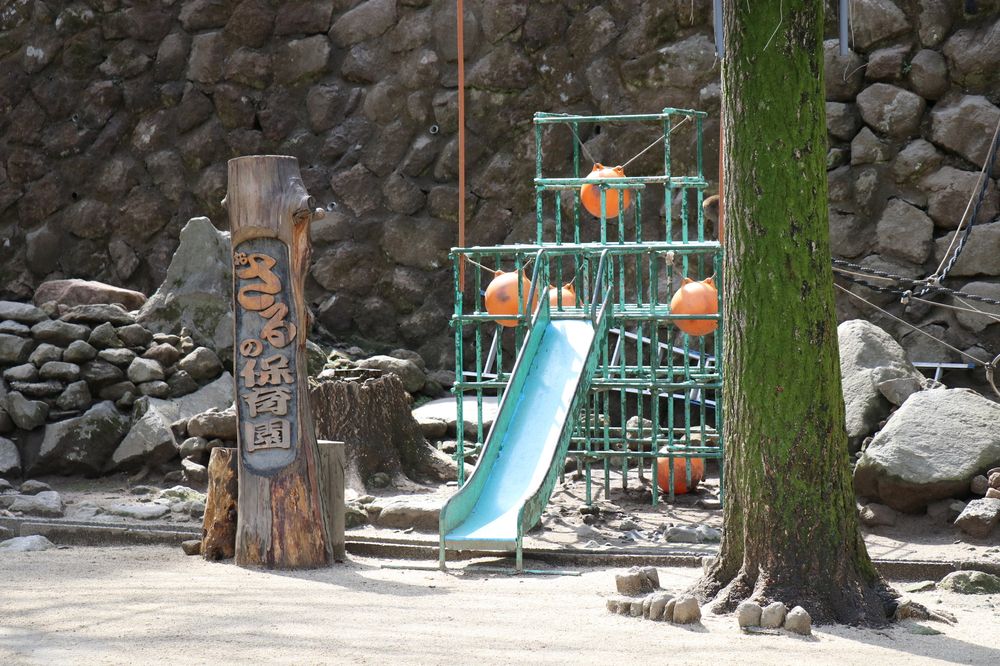 高崎山自然動物園の画像 - 7枚目