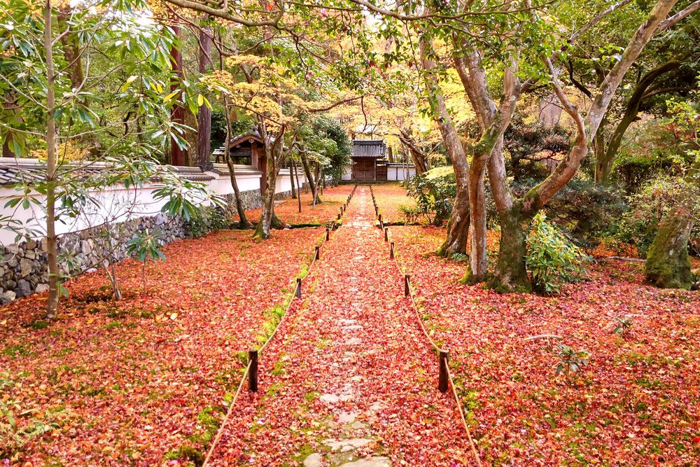 西芳寺 (苔寺)の画像 - 4枚目