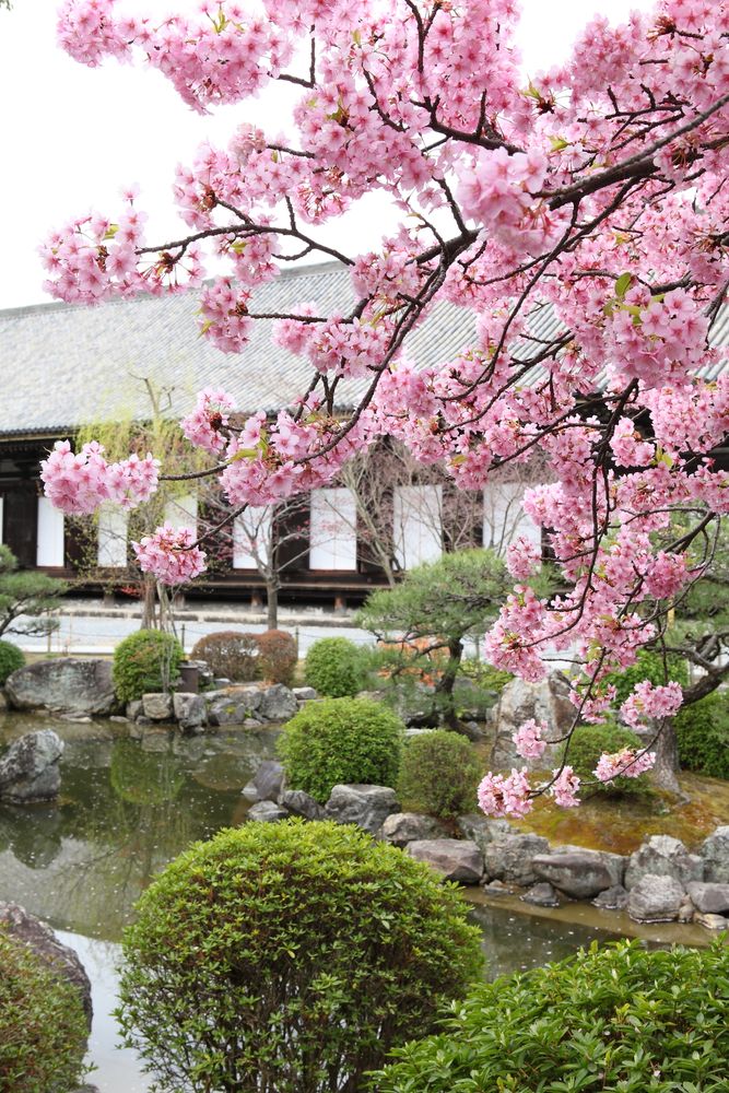 蓮華王院 三十三間堂の画像 - 3枚目