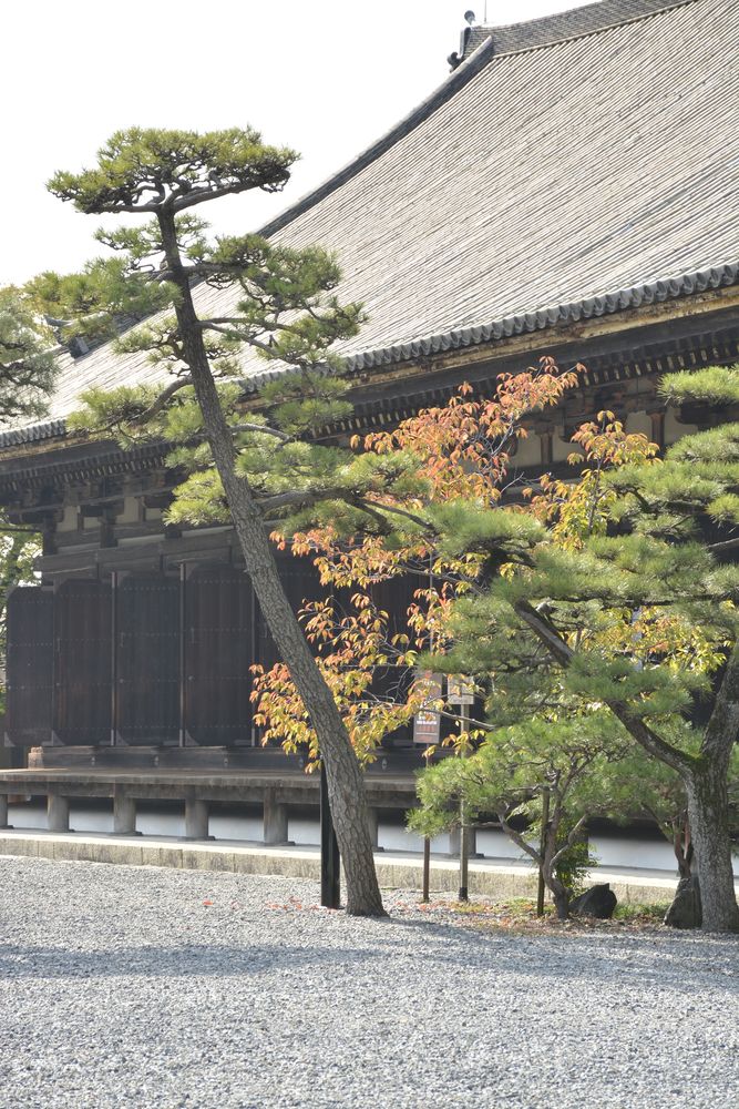 蓮華王院 三十三間堂の画像 - 4枚目