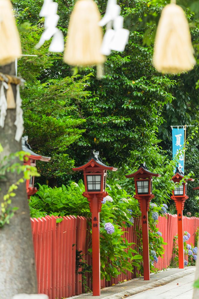 川越八幡宮の画像 - 2枚目