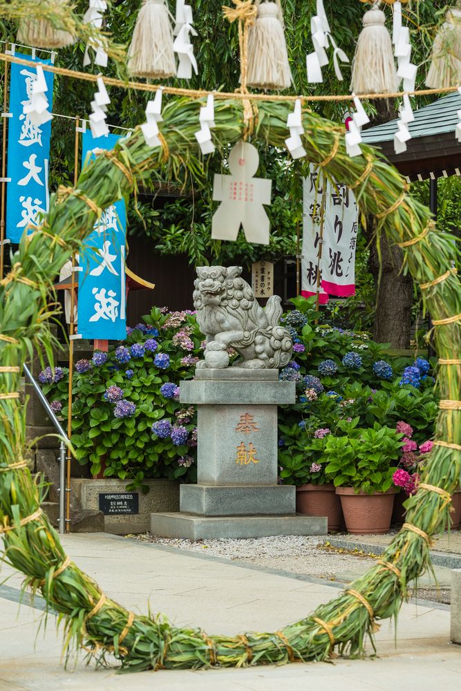 川越八幡宮の画像 - 4枚目