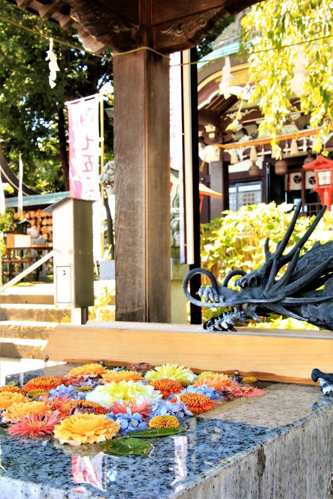 川越八幡宮の画像 - 5枚目