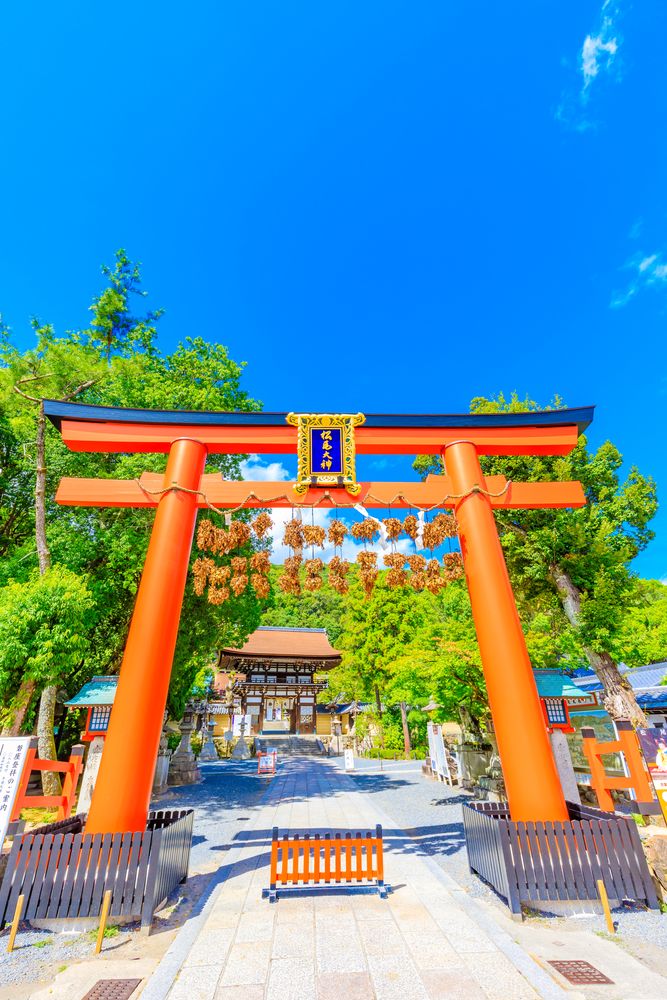 金武宮(金武観音寺)】の周辺スポット・アクセス・口コミ - Prism Japan