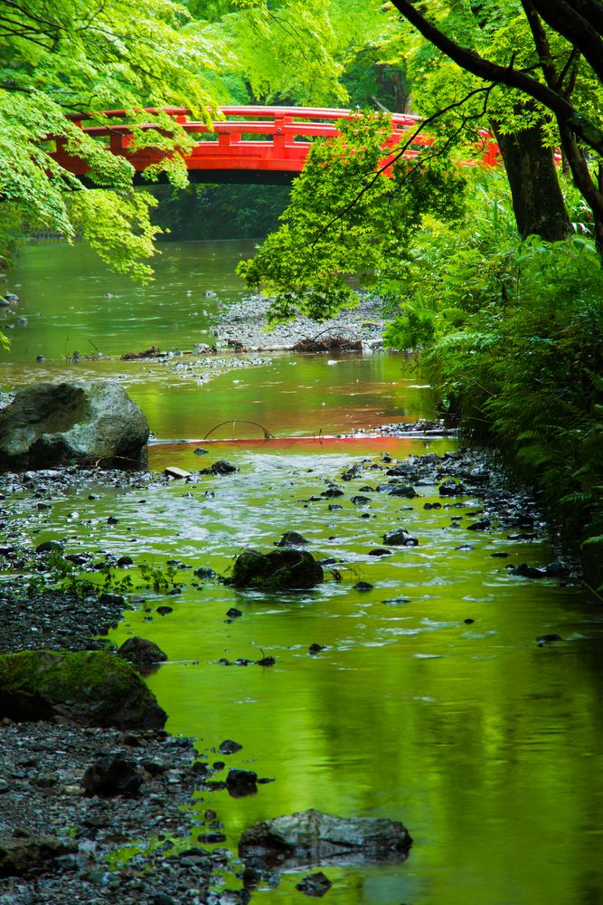 小國神社の画像 - 3枚目