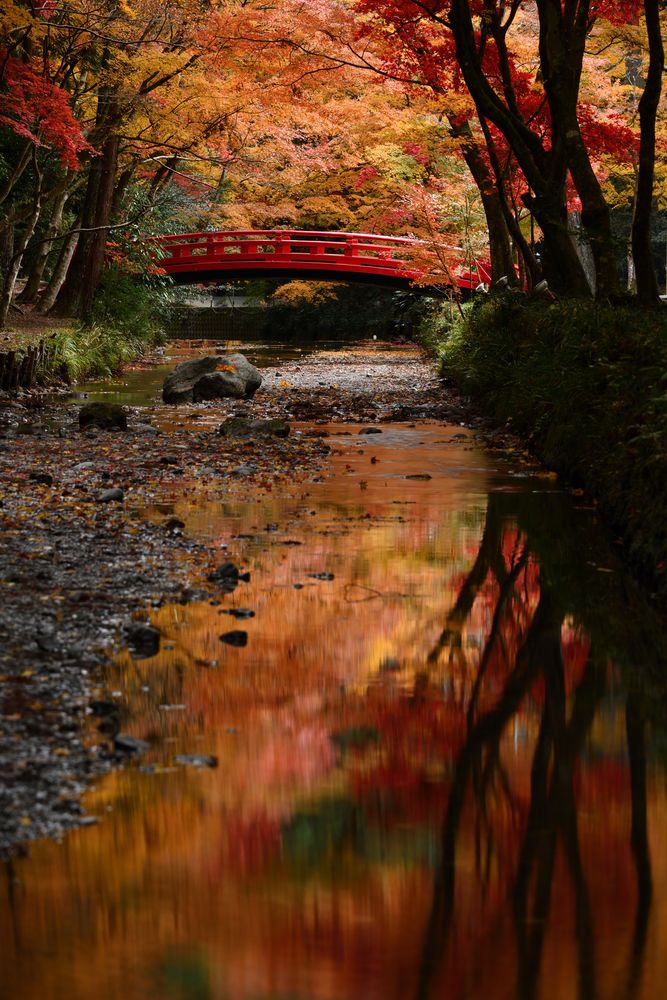 小國神社の画像 - 4枚目