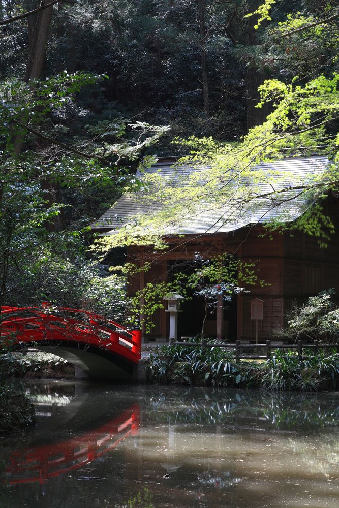 小國神社の画像 - 7枚目